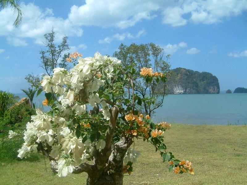 ท่าเลนเบย์วิลล่า อ่าวท่าเลน ภายนอก รูปภาพ